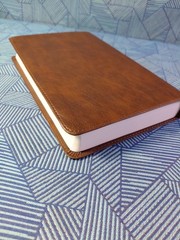 ESV Concise Study Bible (TruTone, Brown): Holy Bible, English Standard Versi…