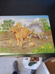 Discovering dinosaurs Book and 5 jigsaw puzzles