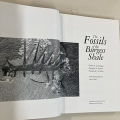 Fossils of the Burgess Shale HC DJ Collier, Erwin & Briggs 1994 Smithsonian Good