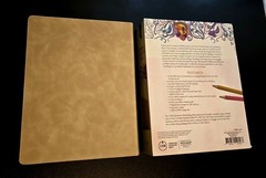 CSB Illustrator’s 2020 Notetaking Bible LG Print Edition Cream LeatherTouch NIB