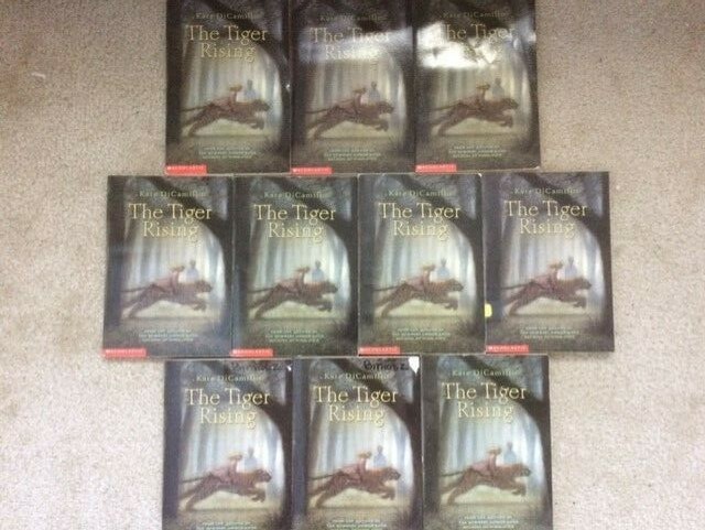The Tiger Rising by Kate DiCamillo Class Set of 10 PB Guided Reading Lot
