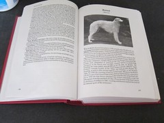 Book-THE COMPLETE DOG BOOK 17TH EDITION,768 PAGES,WELL ILLUSTRATED