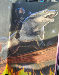 Dire Bound (Deluxe Limited Edition) BRAND NEW!!! HARDCOVER, FAST SHIPPING!!
