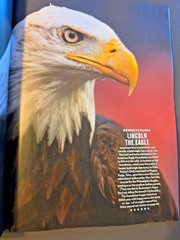 America at 250! Magazine – Special Edition by PEOPLE – Celebration of Treasures