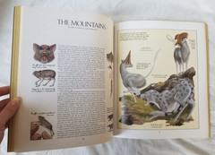 After Man: A Zoology of The Future Dougal Dixon Illustrated Paperback Book