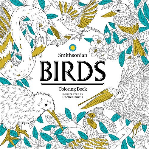 BIRDS: A SMITHSONIAN COLORING BOOK By Smithsonian Institution & Rachel Curtis VG