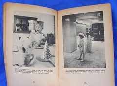 „How To Take Better Color Pictures” 1964 Book, 96 Pages, Guidebook, Dantzic