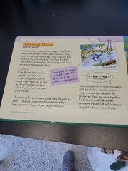 Discovering dinosaurs Book and 5 jigsaw puzzles