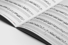 The Classical Cuatro Puertorriqueño: Mastering the Greats