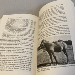 The Draft Horse Primer by Maurice Tellen 1977 Paperback 392 Pages