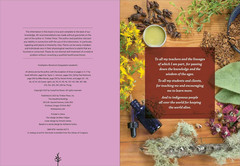 Southeast Medicinal Plants: Identify, Harvest, and Use 106 Wild Herbs for Health