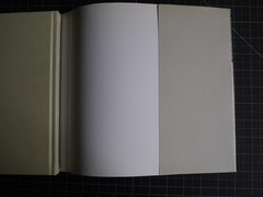 Coming to Light: Avery Gottlieb Rothko: Provincetown Summers 1957-1961 by Avery