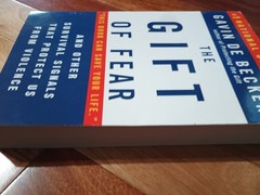 The Gift of Fear, Gavin De Becker
