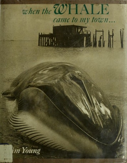 When the Whale Came to My Town Hardcover Jim Young