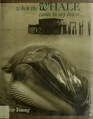 When the Whale Came to My Town Hardcover Jim Young