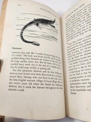 Vtg Prehistoric Animals Sam and Beryl Epstein 1956 1st Print Mylar HCDJ