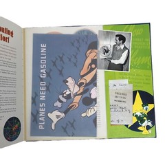 The Disney Treasures by Robert Tieman Disney Editions Removeable Souvenirs 2003