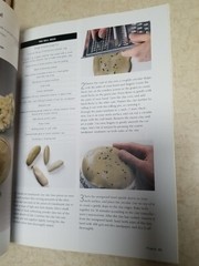 Weekend Crafter: Polymer Clay : 20 Weekend Projects 80 pages Color Illustrations