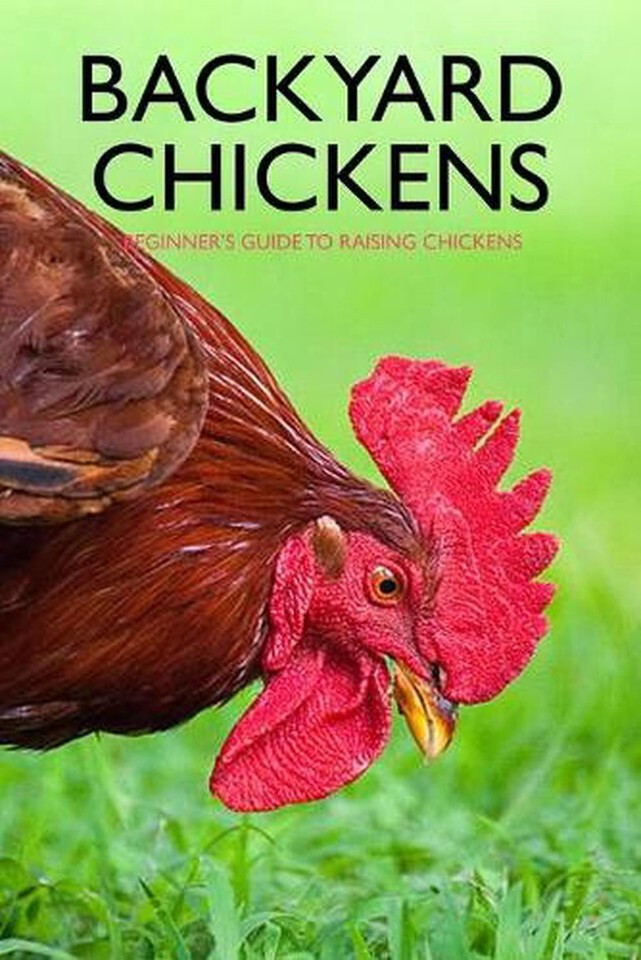 Backyard Chickens: Beginner’s Guide to Raising Chickens: Guide to Keeping Chicke