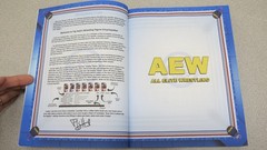 Wrestling Figure Encyclopedia Modern Edition – 2010 to present – Fig Heel 2025