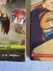 Mixed Lot Of 10 PB Scholastic Young Reader Fictional Novel Class Teacher Set