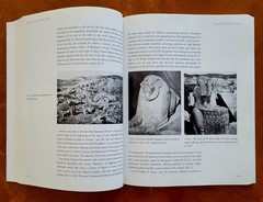 Royal Cities of the Biblical World by J.Goodnick Westenholz,1996,334 pages, new.