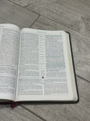 ✝️ The Word For Today Bible Chuck Smith Calvary Chapel Genuine Brown Leather