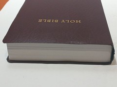 Holman HCSB Gift and Award Bible 2009 Burgundy Faux Leather Christian Standard