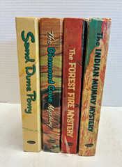 C5 (4) Vintage Troy Nesbit Illustrated Mystery Hardback Books Whitman