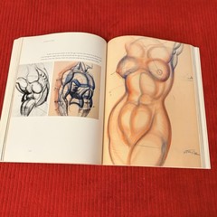 DYNAMIC ANATOMY: REVISED AND EXPANDED by Burne Hogarth—LIKE NEW