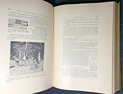 24th Annual Report of the Bureau of American Ethnology 1902-1903 XLibrary