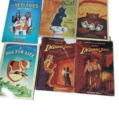 Early Chapter Books Boys Interest Lot of 26 Grade 3-6 Vintage & Modern