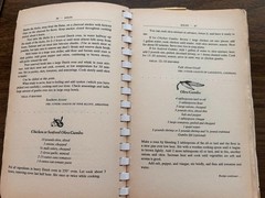 Southern Junior League Cookbook 1981 vintage Ann Seranne 626 pages spiral