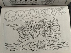 Teenage Mutant Ninja Turtles Coloring And Activity Book TMNT Heroes Nickelodeon