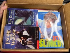 Lot of 28 Grade 3-6 Chapter Books Novels 14lbs / 39 Clues, ECHO , School of Fear