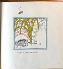 Toad by Anne Rockwell illustrated by Harlow Rockwell – Hardcover First Edition