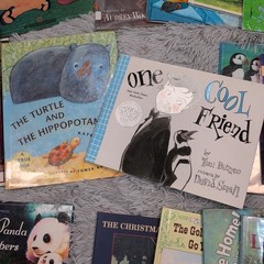 Bulk Lot of Mixed Books Various Authors & Genres Childhood Homeschool Learning