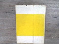 Tiger Flower Robert Vavra 1969 First US Edition Illustrated Art Book
