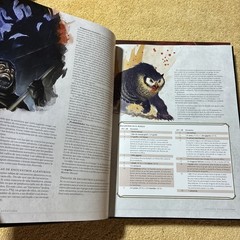 D&D DungeonMaster’s Guide / Player’s Handbook (2020 – Spanish Edition)