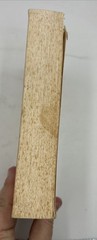Denial of Death by Ernest Becker. The Free Press First Printing 1975 PB