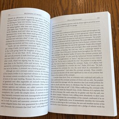 Beginning At Moses By Michael P. V. Barrett PB