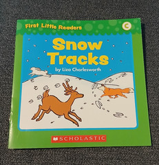 Scholastic First Little Readers Children’s Books Level C Kids Reading Lot of 19