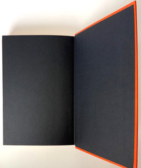 Breakfast of Champions, Kurt Vonnegut 1973 HCDJ 2nd printing in Mylar, Fine