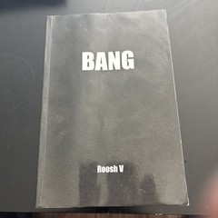 Bang : More Lays in 60 Days by Roosh V Updated 2010 Edition