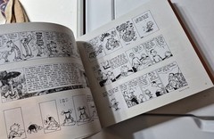 The Complete Calvin and Hobbes • 4 Book Box Set (Paperback)