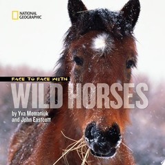 Face to Face With Wild Horses (Face to Face with Animals) (Hardcover)