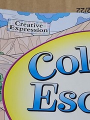 COLORFUL ESCAPES -A Bouquet of Color! Vol. 24 – Adult Coloring Book- 47 Pages