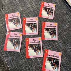 Lot Of 33 Emergent Readers By Sunshine Books & Pacific Literacy