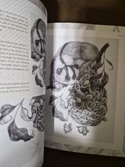 RARE Masters of Sketching 3dtotal Publishing Art Book 20 Masters Tutorials