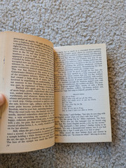 The Crying of Lot 49 by Thomas Pynchon : Vintage PB, Bantom Windstone Edit 1982